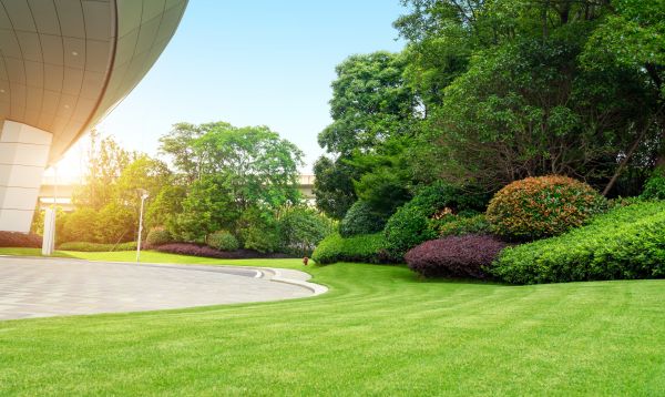 Commercial Lawn Care in Sun Prairie