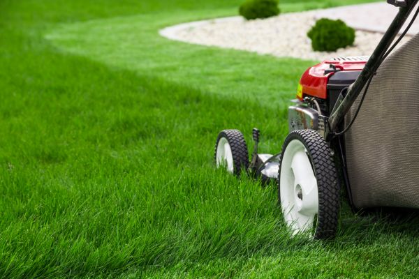 Lawn Service in Sun Prairie