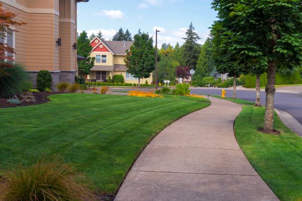 Home Lawn Maintenance in Sun Prairie