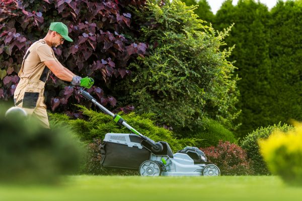 Lawn Management in Sun Prairie
