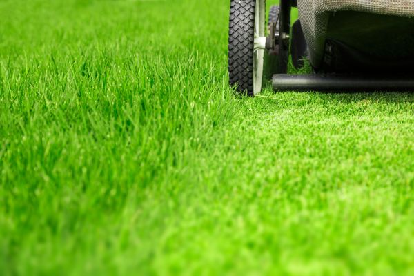 Weekly Lawn Care in Sun Prairie
