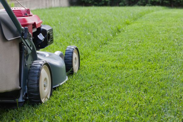 Summer Lawn Care in Sun Prairie
