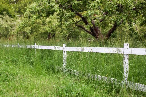 Fence Line Trimming in Sun Prairie
