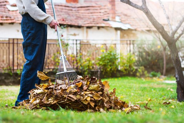Cost of Routine Lawn Maintenance in Sun Prairie