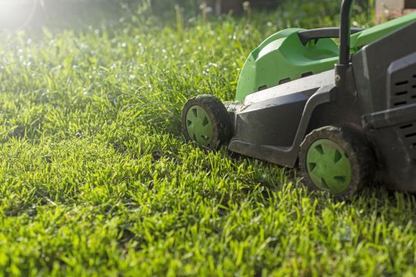 Yard Trimming in Sun Prairie