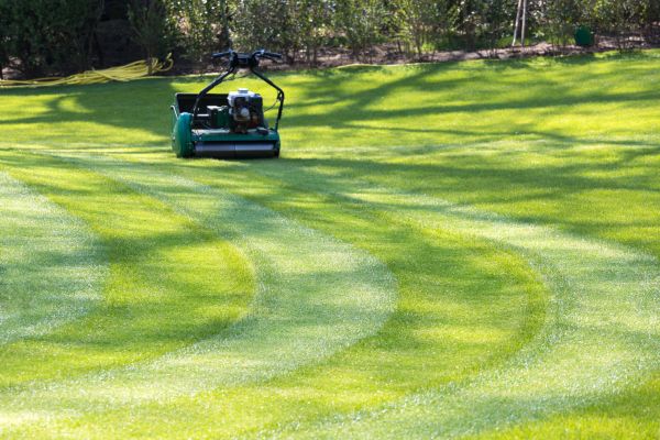 Business Lawn Mowing in Sun Prairie