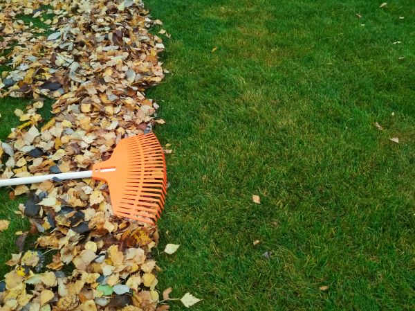 Fall Lawn Care in Sun Prairie